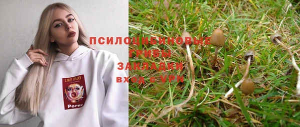 МДПВ Абаза