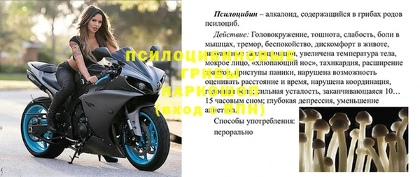 МДПВ Абаза